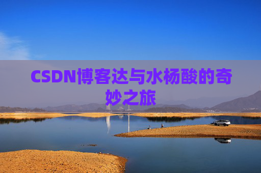 CSDN博客达与水杨酸的奇妙之旅 CSDN博客达与水杨酸的奇妙之旅